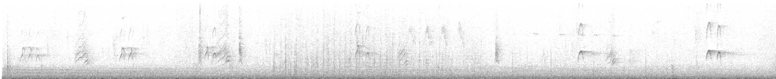 Long-billed Dowitcher - ML498169611