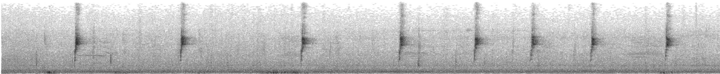 Northern Waterthrush - ML498234331