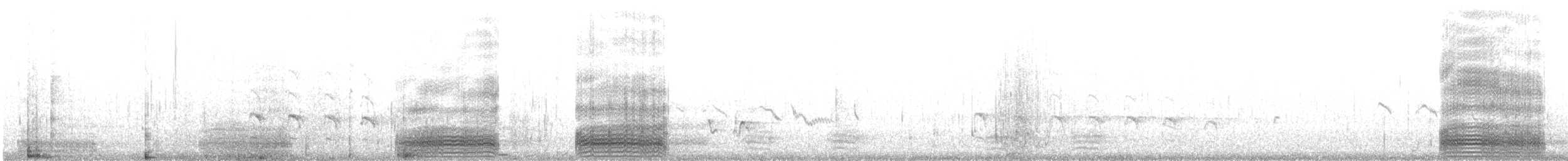 volavka přímořská - ML498339081
