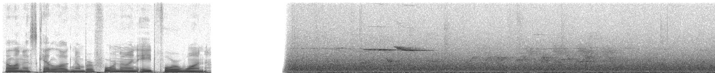 Ошейниковый заряночник (rodgersi) - ML49841