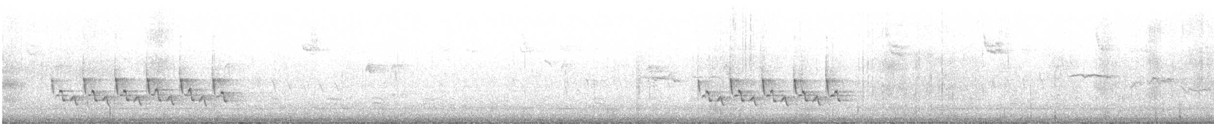 Каролинский крапивник - ML498481261