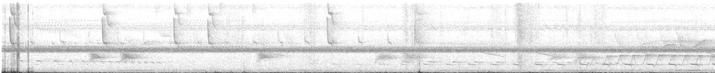 Чешуегорлый колибри-отшельник - ML498639861