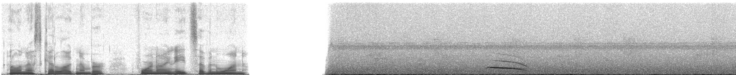 Çizgili Kuyruklu Trogon - ML49871