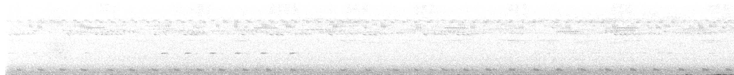 Large-tailed Nightjar - ML498808631