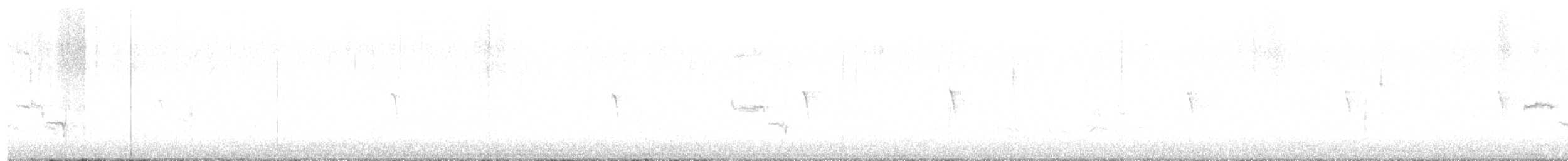 Светлобрюхий фиби - ML498816841