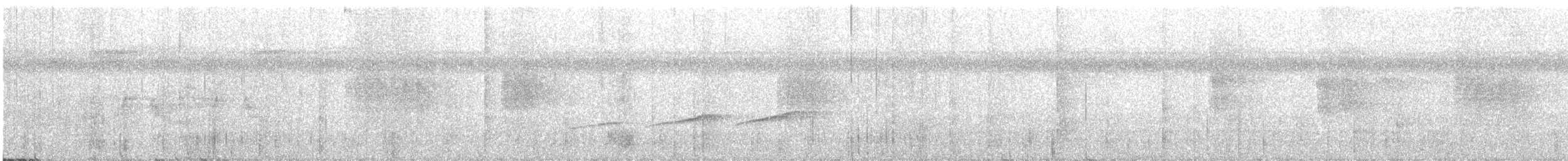 Мурав’янка-куцохвіст велика - ML498844451