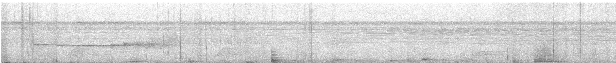 Rostflanken-Ameisenschnäpper - ML498866531