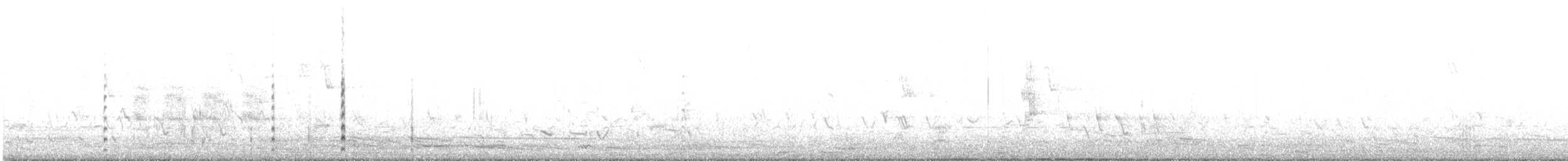 Australasian Grebe - ML498880231