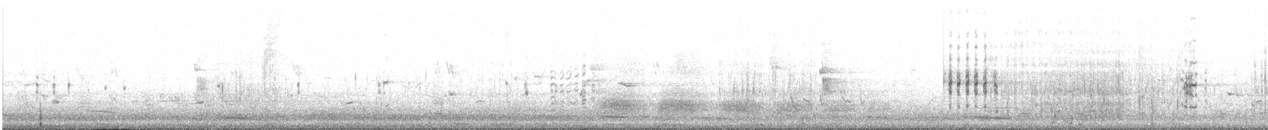 Australasian Grebe - ML498880271
