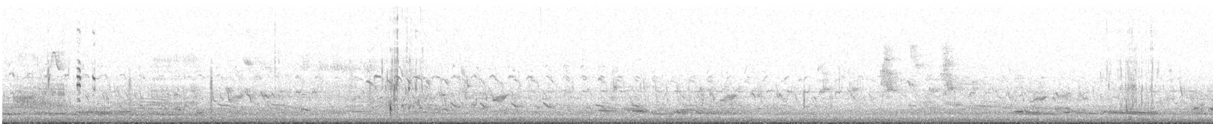 Australasian Grebe - ML498880281