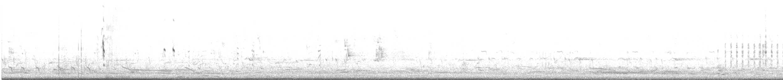 Australasian Grebe - ML498897091