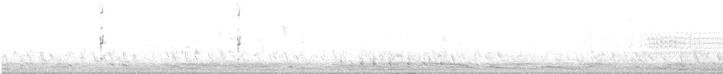 Australasian Grebe - ML498907101