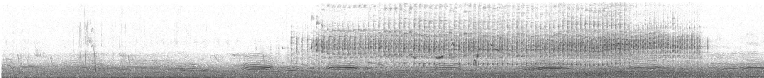 Australasian Grebe - ML498907121