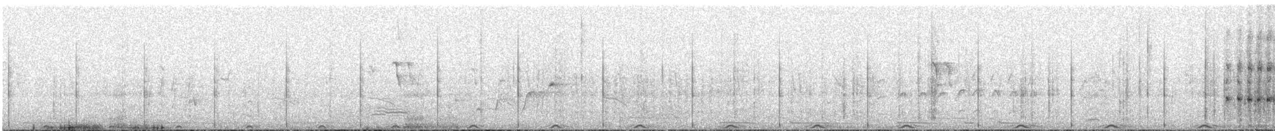holub chocholatý - ML498918951