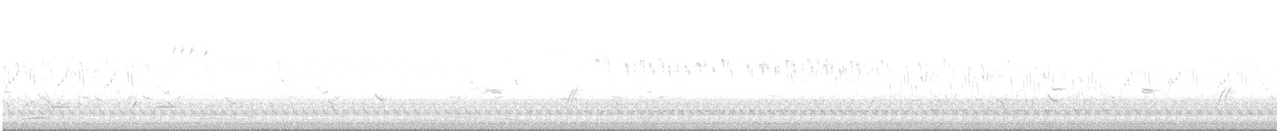 Finkenschnabel-Grasschlüpfer - ML498954531