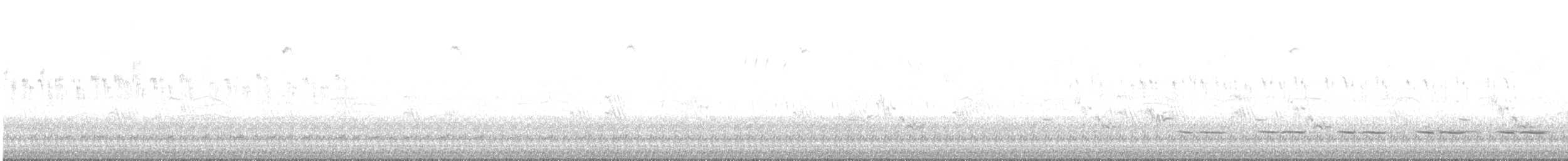 Трав’янчик товстодзьобий - ML498954551