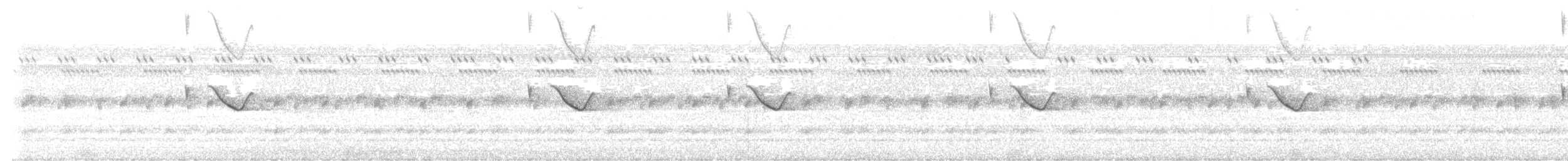 Spot-tailed Nightjar - ML499008281