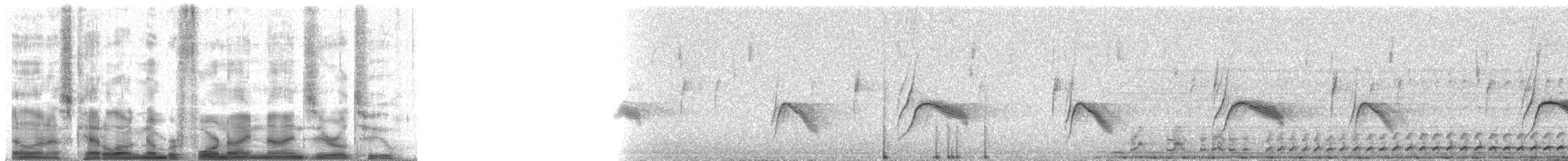 Sperbereule (caparoch) - ML49902