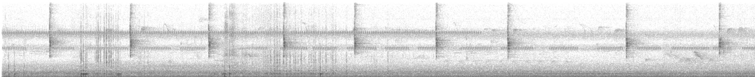 Stelzenwaldsänger - ML49904891