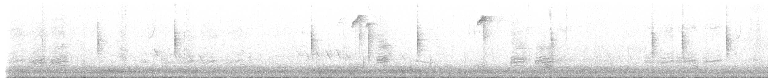 Paruline grise - ML499051051