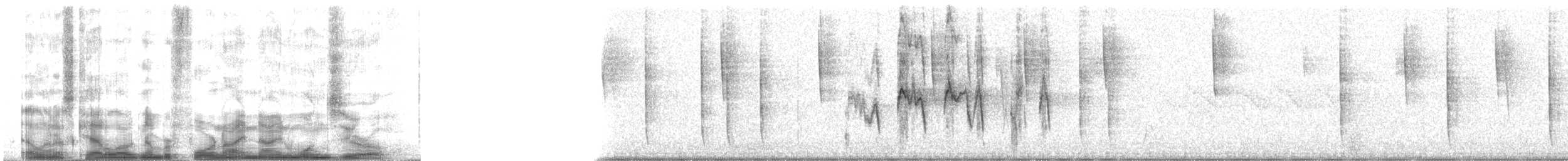 Sperbereule (caparoch) - ML49910