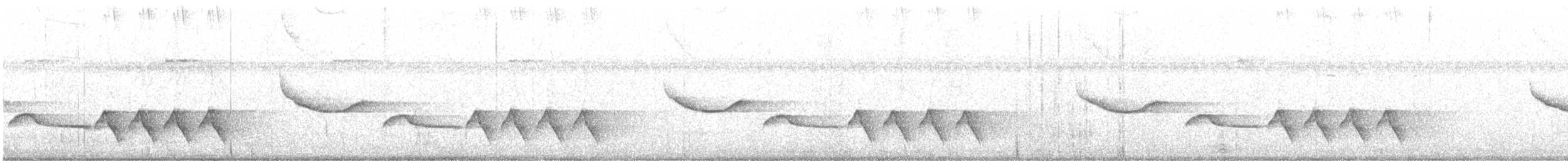 Troglodyte coraya - ML499155181