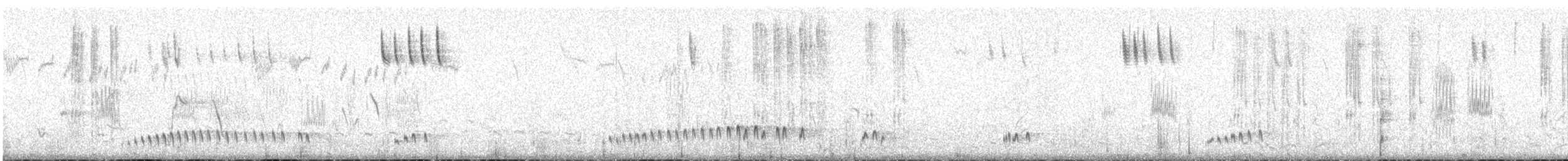 Schwarzbrust-Regenpfeifer - ML499180691