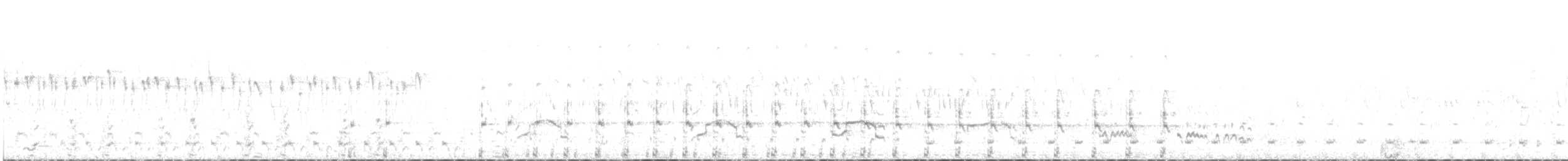Gallinule aborigène - ML499195381