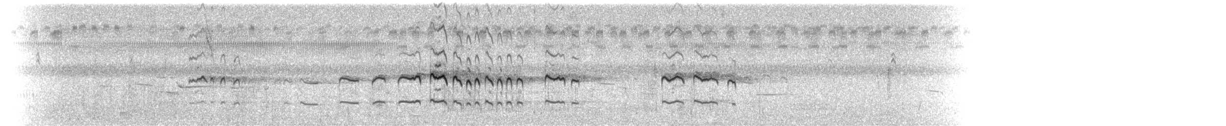 Chorlitejo Culirrojo - ML49923331