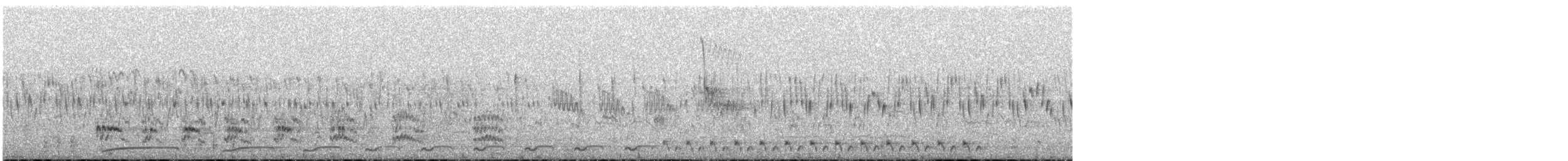Spotted Nightjar - ML499249171