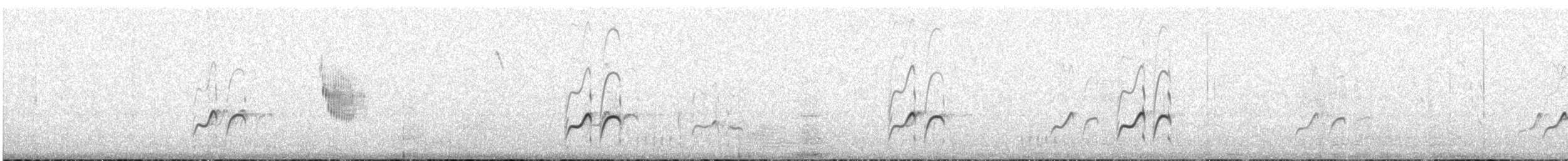 Длинноногая тиркушка - ML499260121