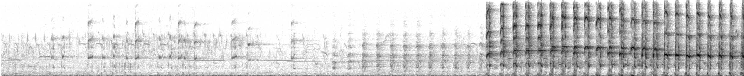 Rotfuß-Teichhuhn - ML499295481