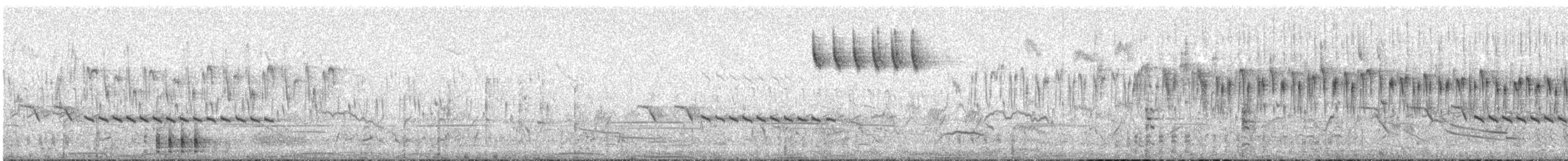 Epthianure tricolore - ML499295671