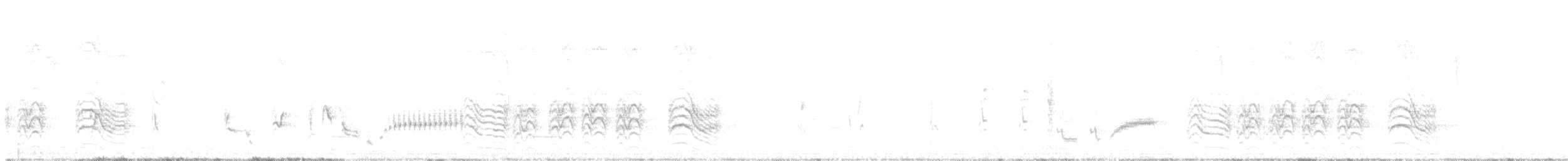 tøyleskriketrost (sharpei) - ML499335911
