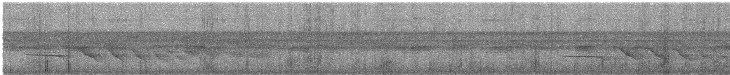 Weißbrust-Ameisenvogel - ML499345441