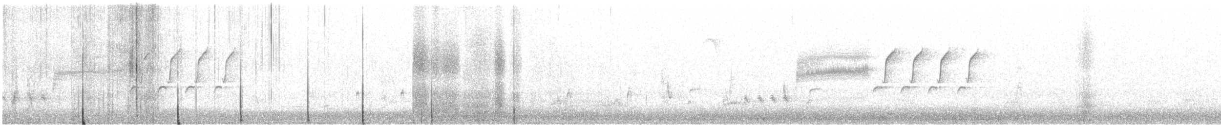 Длиннохвостый крапивник - ML49938471