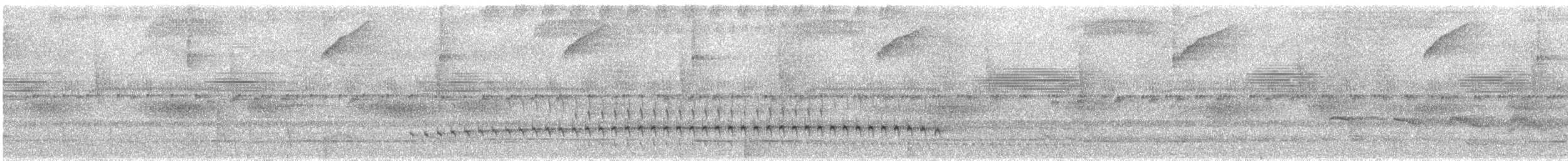 Olivscheitel-Ameisenvogel - ML499392371