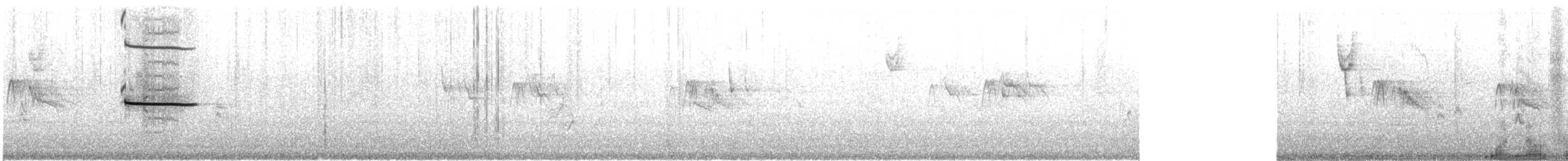 Серобрюхая чайка - ML499415201