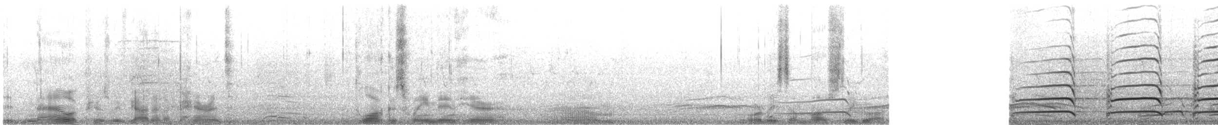 Gaviota Occidental x de Bering (híbrido) - ML499416581
