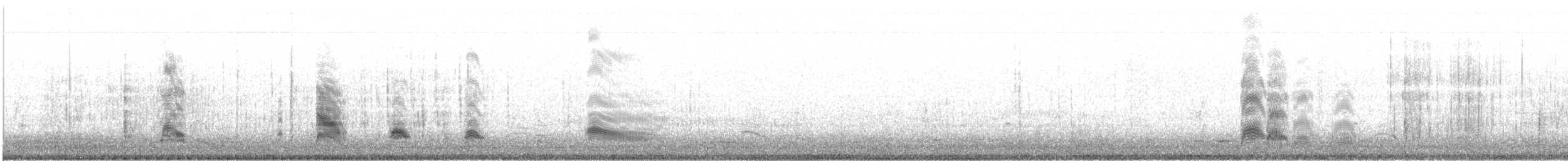 ボナパルトカモメ - ML499418151