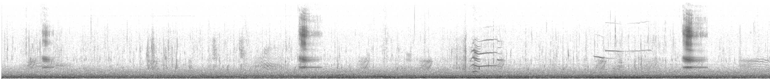 Common Goldeneye - ML499422731