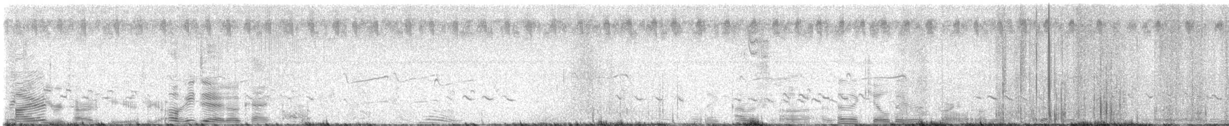 Greater Yellowlegs - ML499474871