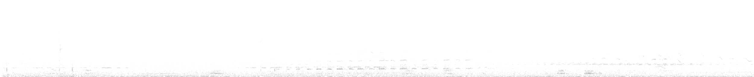 Magellanic Snipe - ML499477501