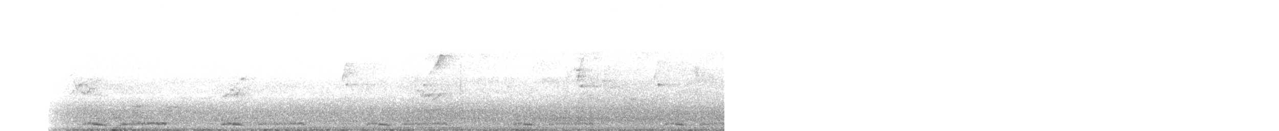 珠頸斑鳩(chinensis/tigrina) - ML499517051
