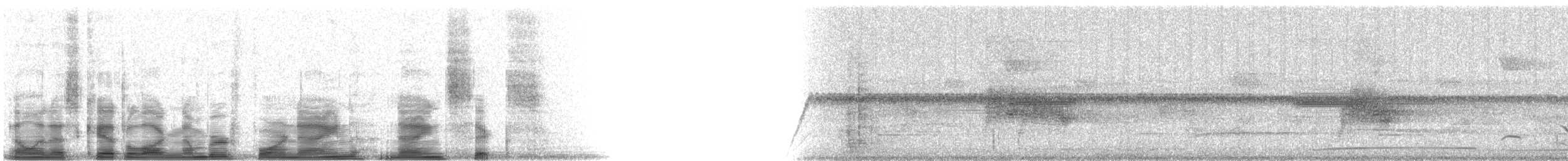 nordnatthauk - ML4996