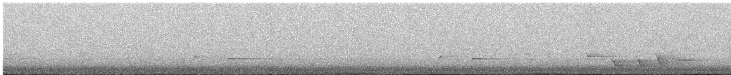 holub bronzovokřídlý - ML499621411