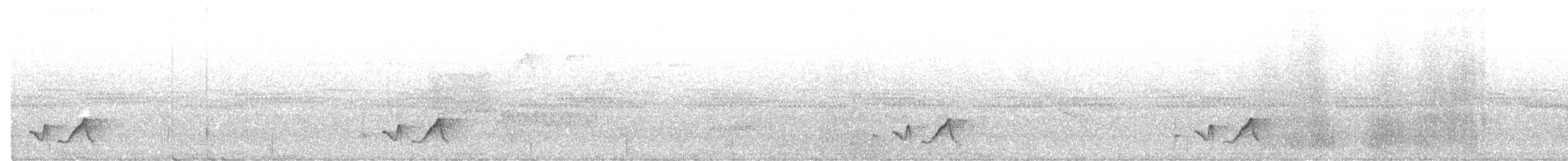 Серогрудый крапивник (bangsi) - ML499651171