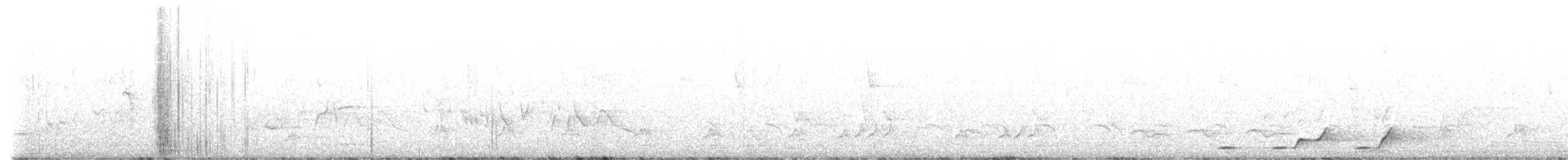 ゴシキミドリヤブモズ（quadricolor グループ） - ML499675011