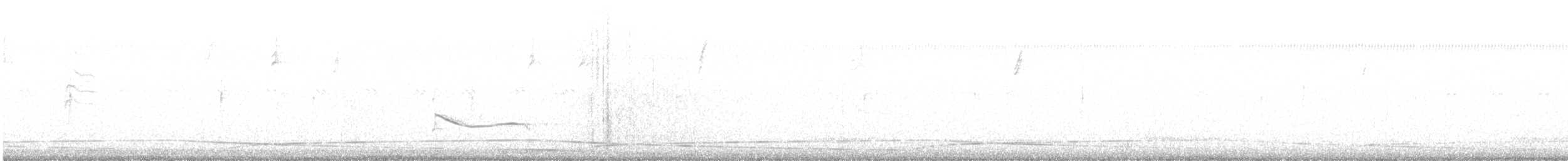 Black-bellied Plover - ML499704921