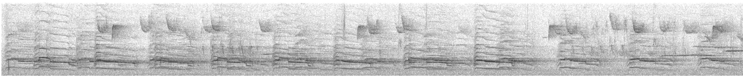 Red-shouldered Hawk (lineatus Group) - ML499726821